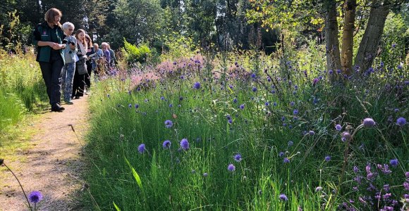 Image showing a science project in a garden in Vlaardingen, the Netherlands